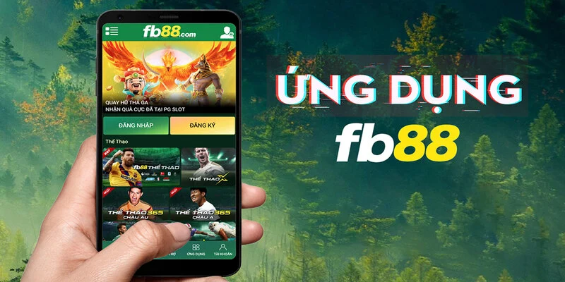 Công ty quản lý tài năng Vaobo88 King là gì? Ai đủ điều kiện tham gia? - Vaobo88