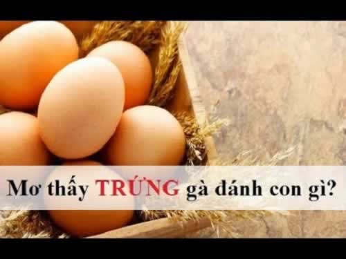 Đầu tư vào 777King Entertainment chỉ dẫn đến thua lỗ - 777King