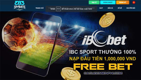 Cách chơi các trò chơi gia đình (đếm số) tại Câu lạc bộ Winwin? - Winwin