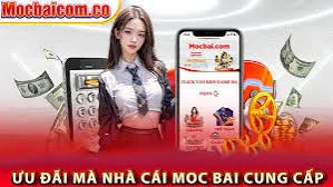 Cá cược trực tiếp trên nền tảng Soc88 - Soc88