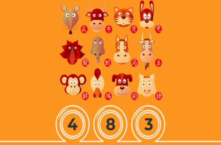 8Day cung cấp nhiều phương thức thanh toán - 8Day
