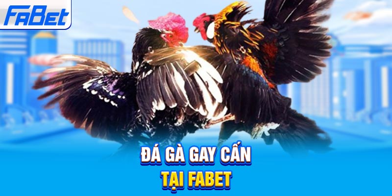 Thư viện game được xếp hạng St666 đa dạng đến mức nào? - St666