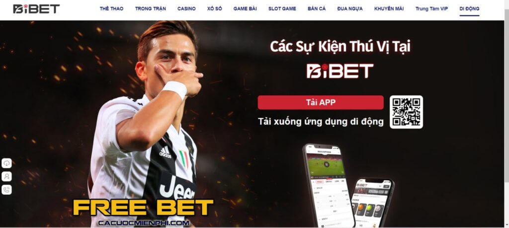 Dịch vụ cao cấp 9Dbet - 9Dbet