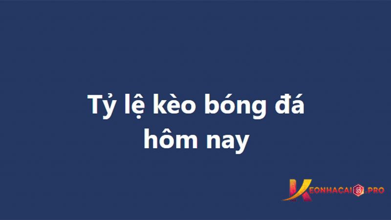 Hướng dẫn tham gia các hoạt động khuyến mãi của Cm88 - Cm88