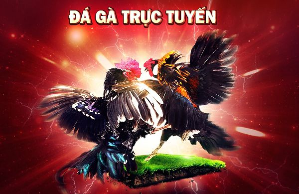 Thông tin liên quan đến các hệ thống trò chơi trực tuyến cấp Ds99 - Ds99