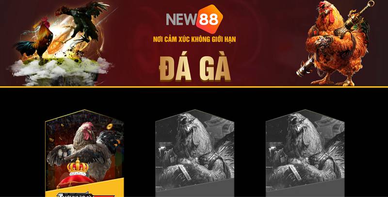 Oke88 là gì? Nó có uy tín không? - Oke88