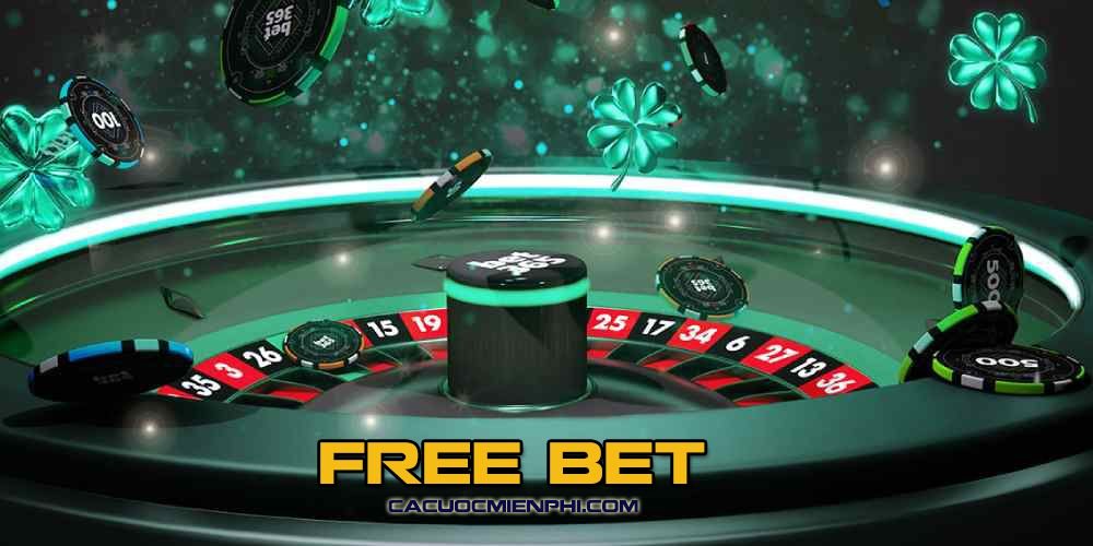 999Bet và Chính sách của Tổ chức - 999Bet