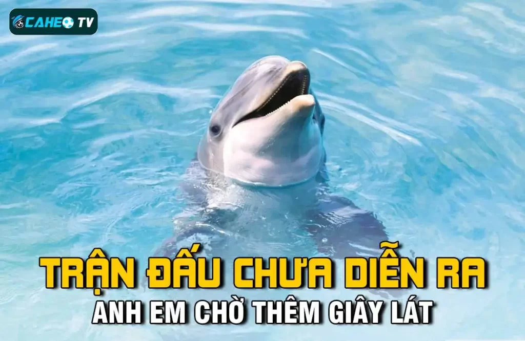 Máy đánh bạc Pkwin - Pkwin